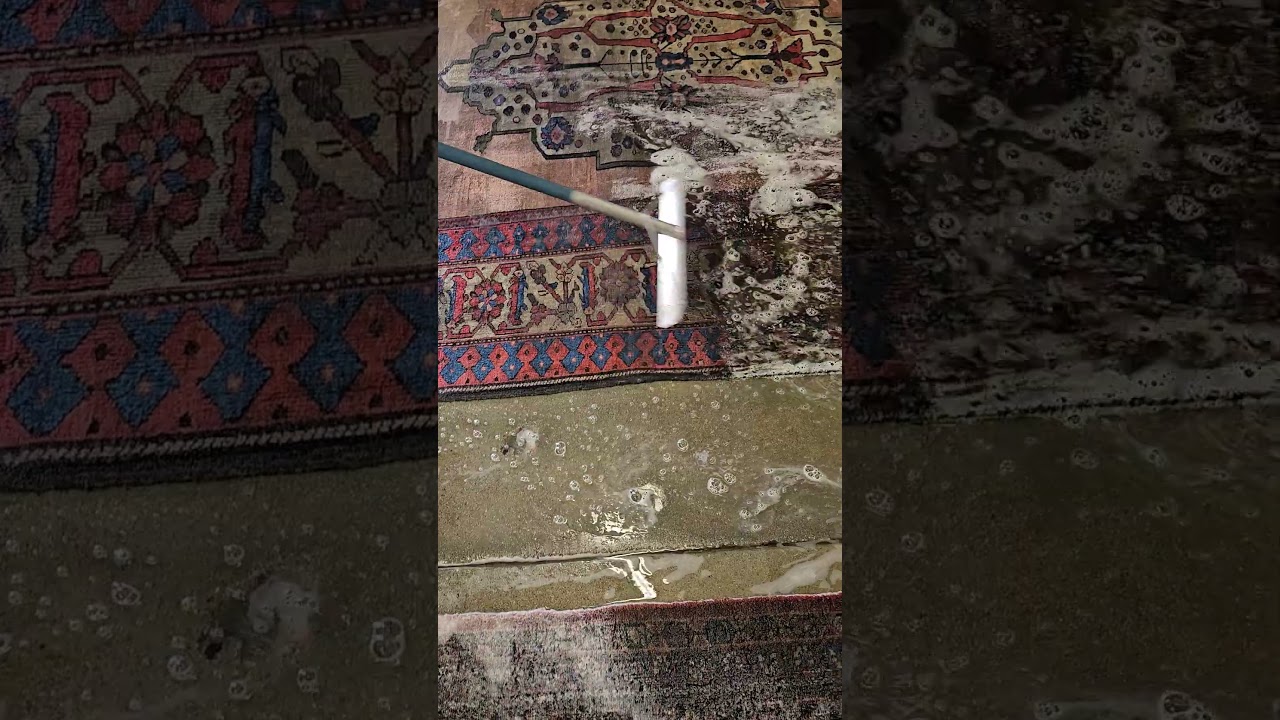 urine soaked Antique persian Rug Cleaning #rugcleaning #carpetcleaner #persianrugs #antiquerug