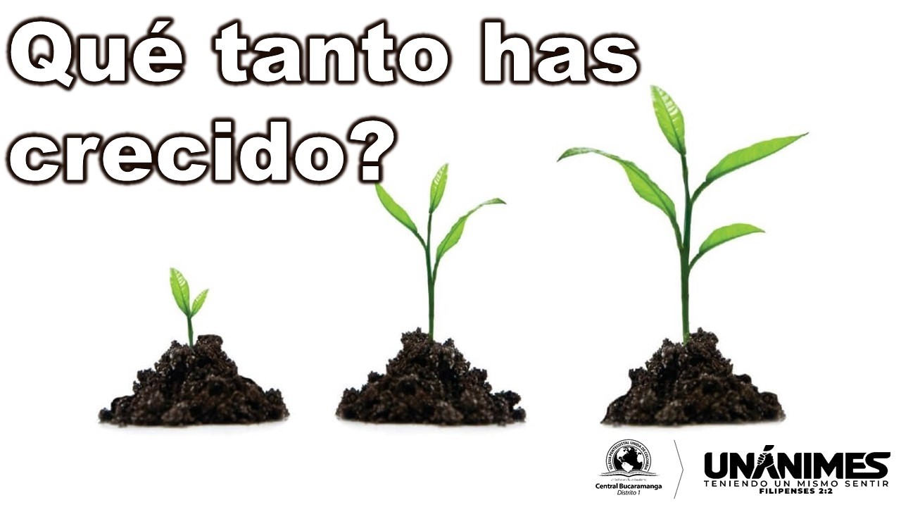 QUÉ TANTO HAS CRECIDO? - LEONARDO USEDA A. -  DIRECTOR DE EVANGELISMO