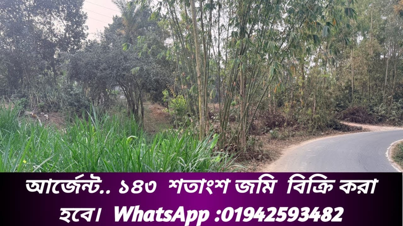 আর্জেন্ট.. ১৪৩ শতাংশ জমি বিক্রি করা হবে.. WhatsApp 01942593482 