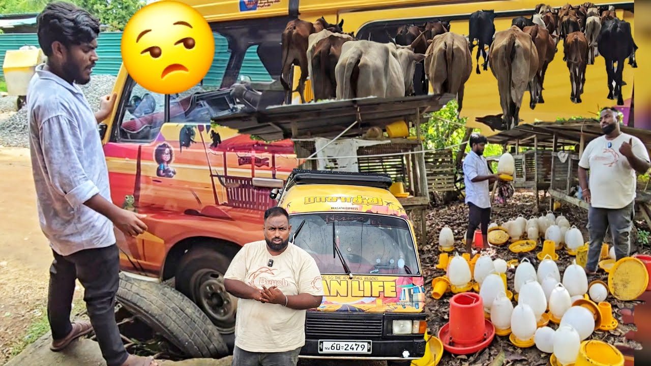நிலைமை கவலைக்கிடம்!😢 Jaffna Tamil Vlogs | Alasteen Rock