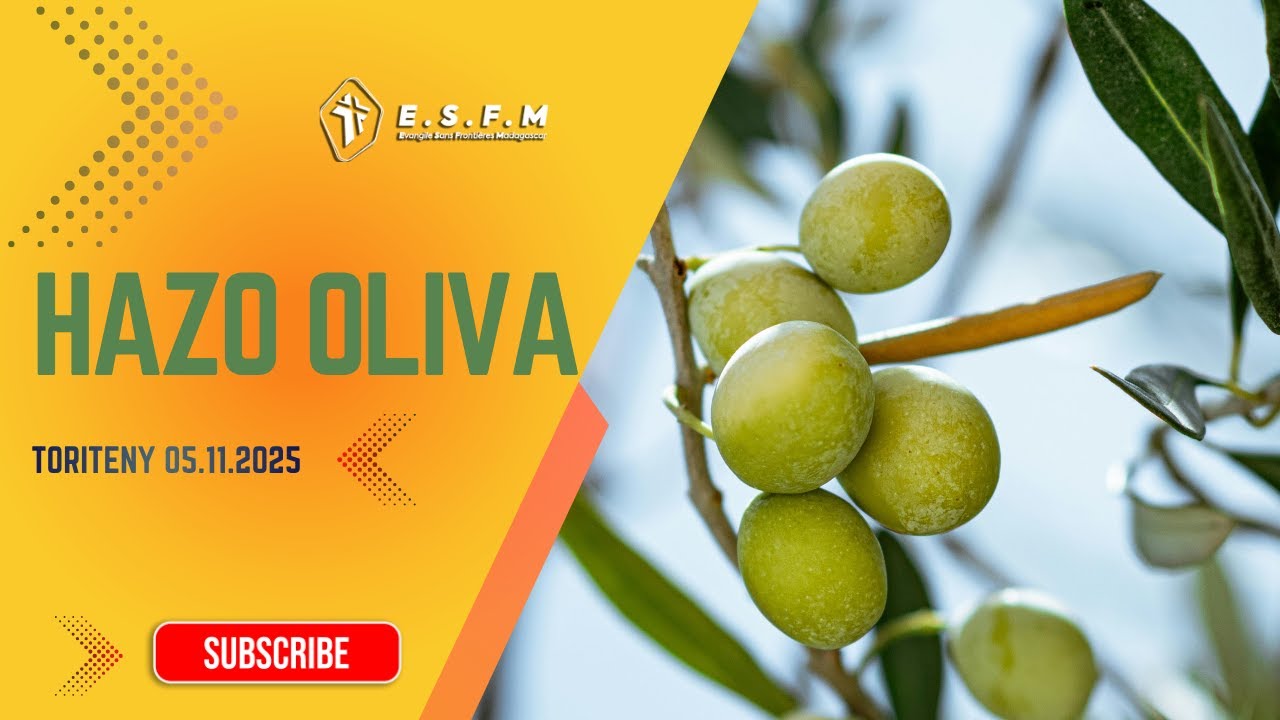 Hazo oliva  -  Alarobia 05 Novambra 2025