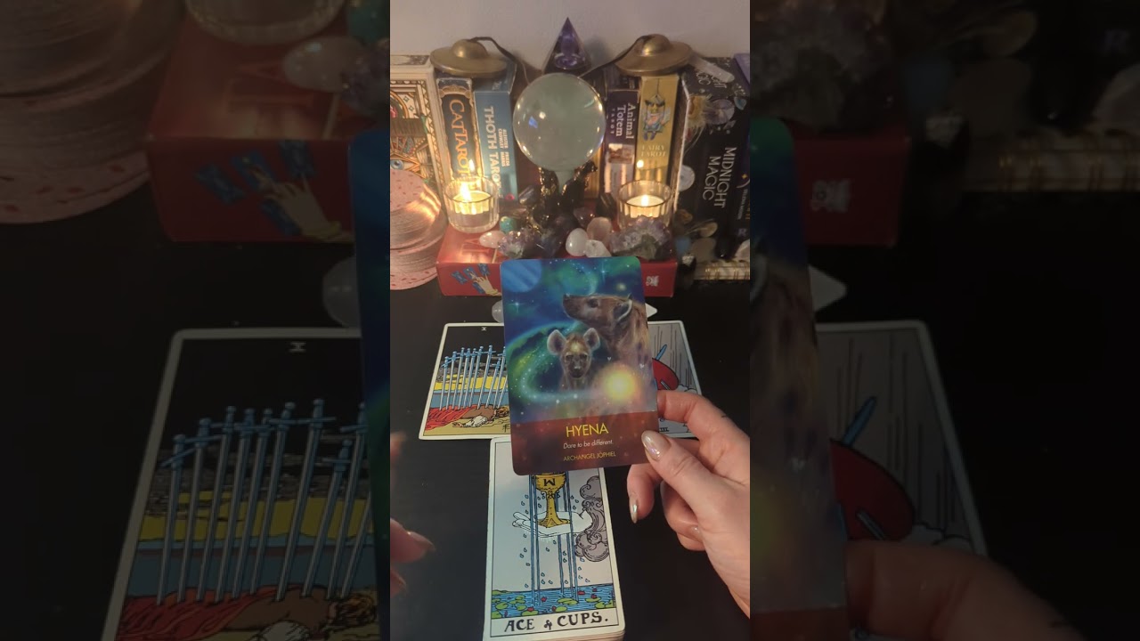 What is spirit celebrating about you right now?#tarot #different #discipline  #forgiveness #courage 