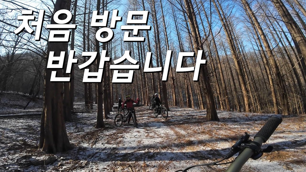 2월 뉴코스