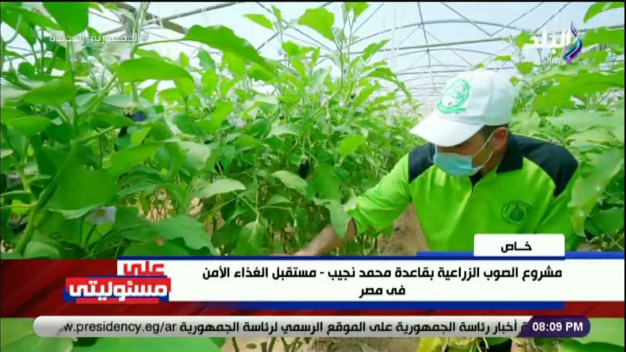 لأول مرة .. أحمد موسى يعرض أحدث تصوير من الصوب الزراعية بقاعدة محمد نجيب