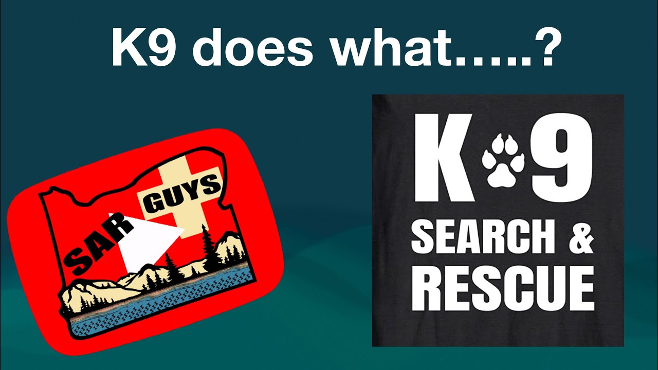 Search and Rescue Dog Basic Types EP 78