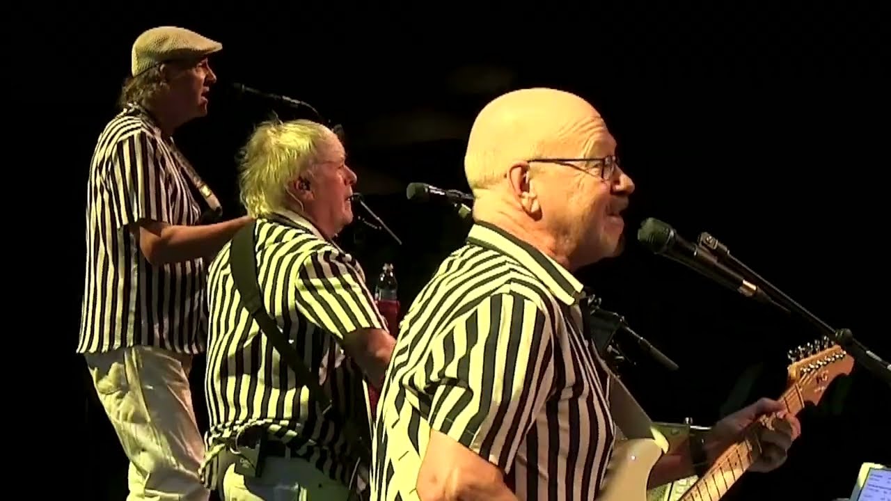 Surfing Safari - BackBeat OFFICIAL VIDEO