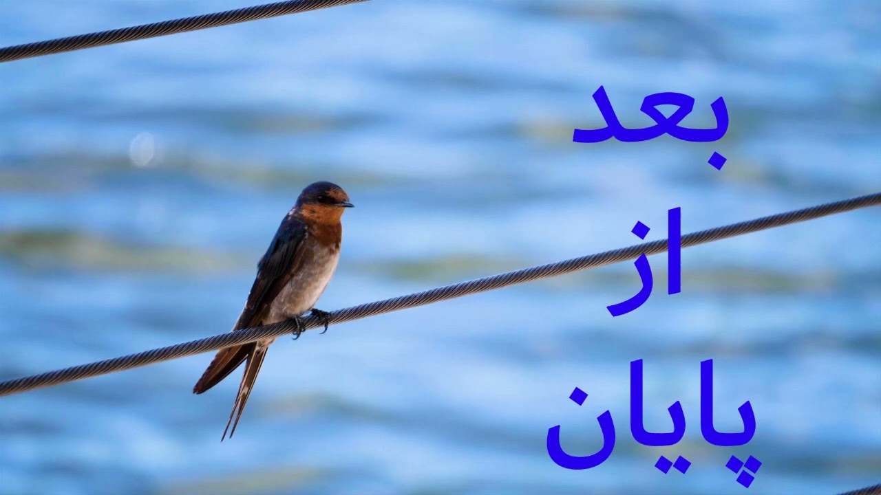 بعد از پایان قسمت یک ( AFTER THE END PART1 )