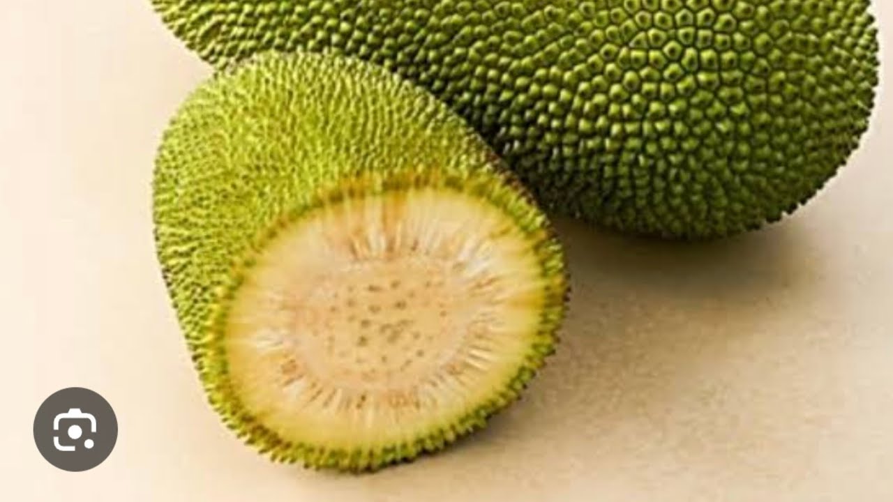 এচঁড়  চিংড়ি #recipe #ranna #viral #minivlog #bengalirecipe #food #cooking 