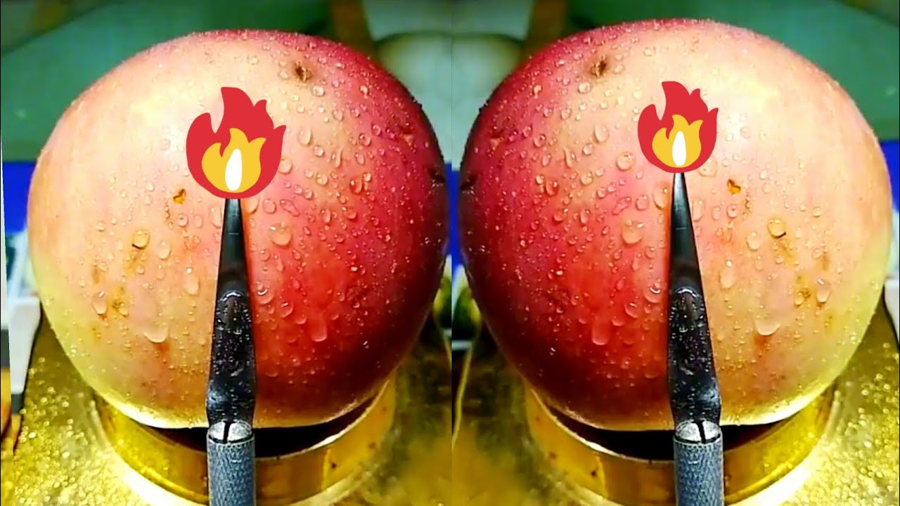 All Food experiment Top Amzeeing experiment 2019