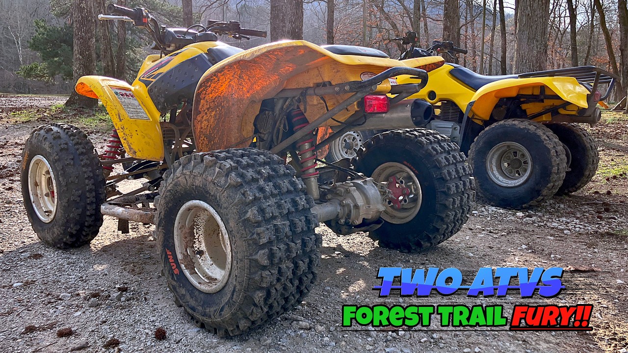 Two ATVs: Forest Trail Fury!