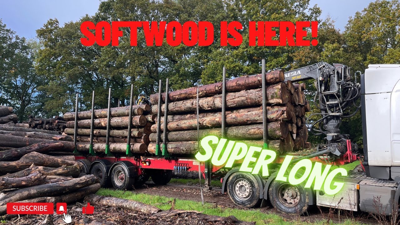 Day 51 - Finally Softwood (kindling rings)