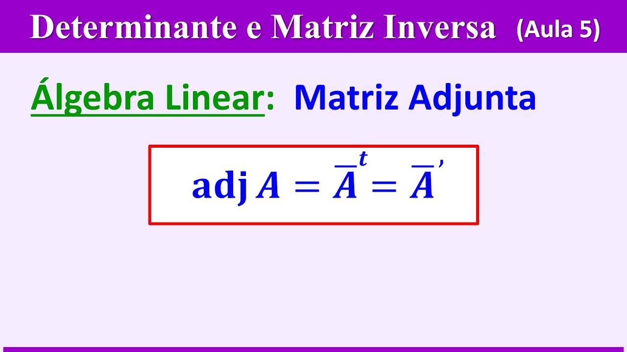 Determinante e Matriz Inversa - AULA 5: MATRIZ ADJUNTA