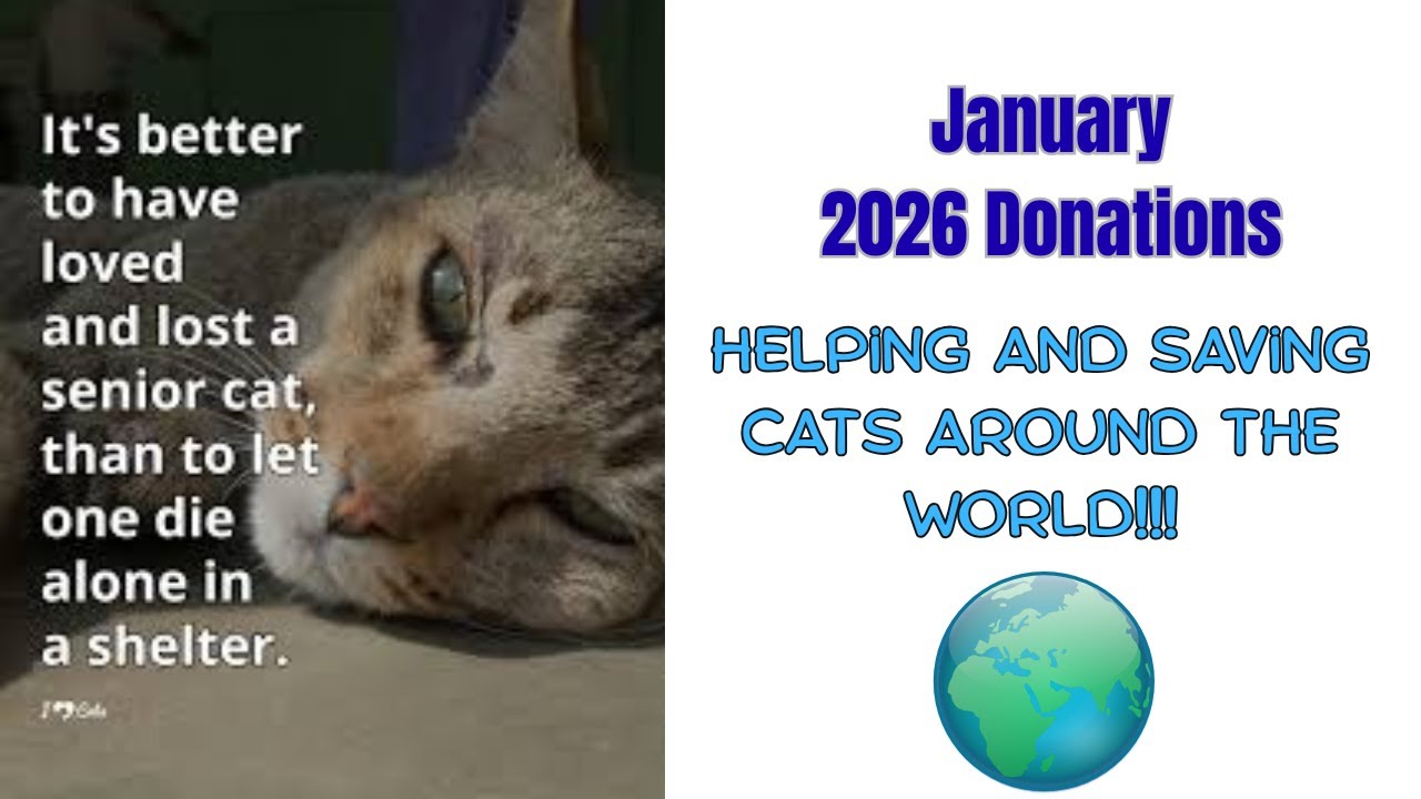 January 2026 GivingPAWS Donations
