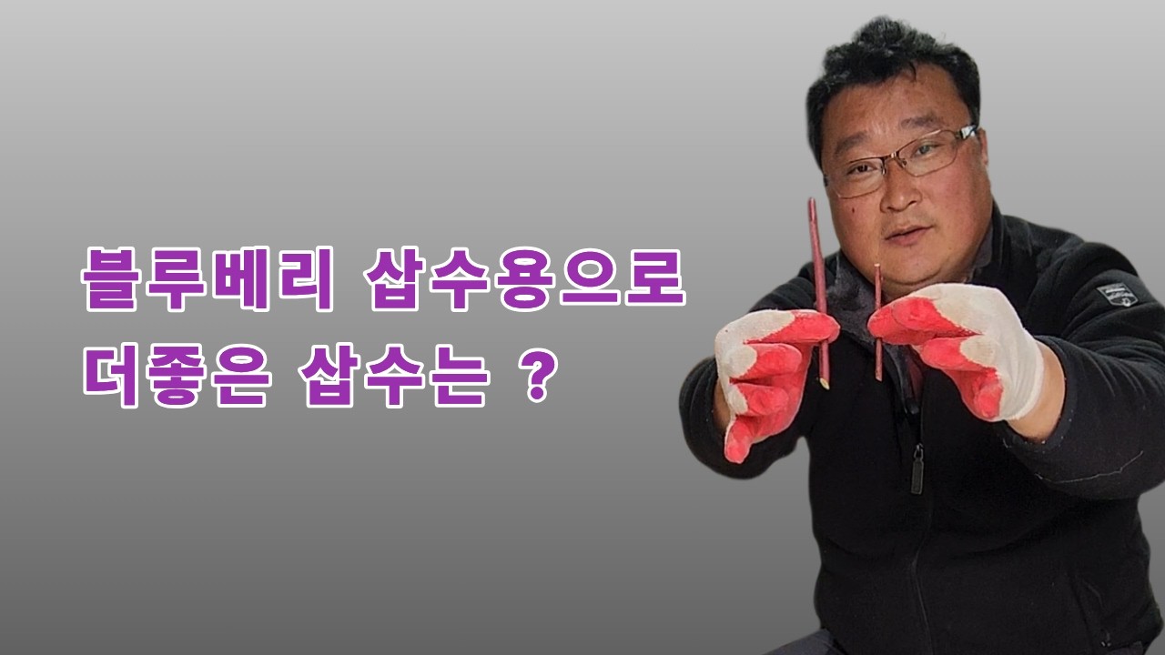 블루베리 삽수 준비 ‘끝장 정리’｜초보도 그대로 따라하면 됩니다 | 삽수나눔종료