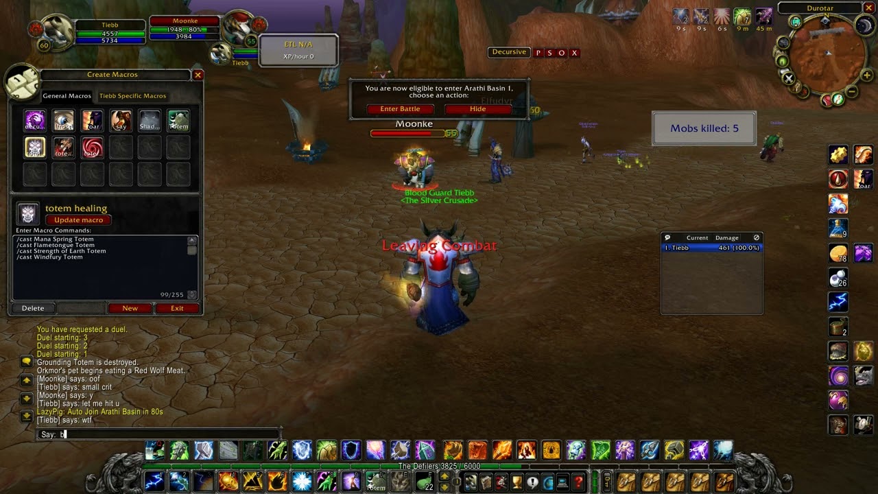Turtle wow insane elemental shaman crit