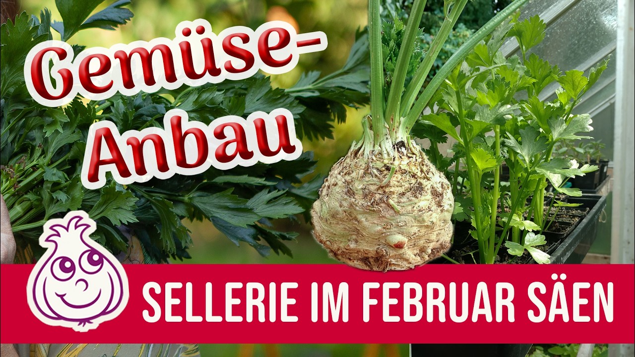 Weitere Aussaaten im Februar | KI-frei