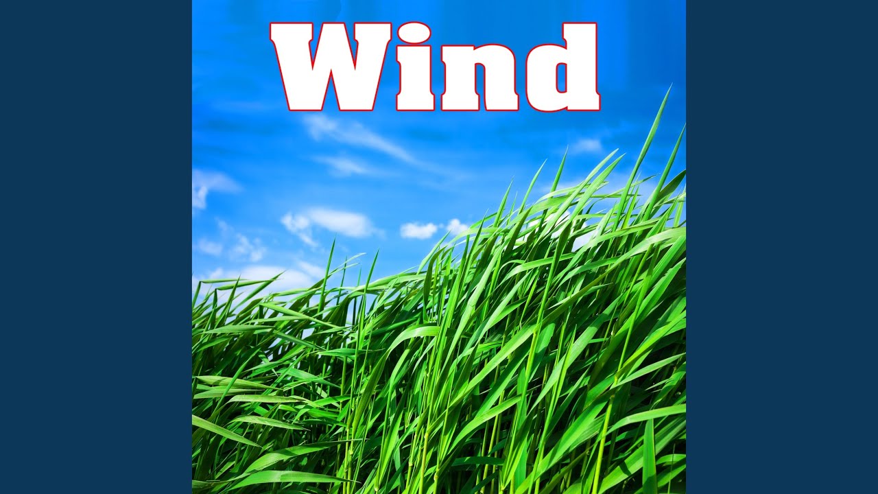 Peaceful Sustained Shimmering Wind