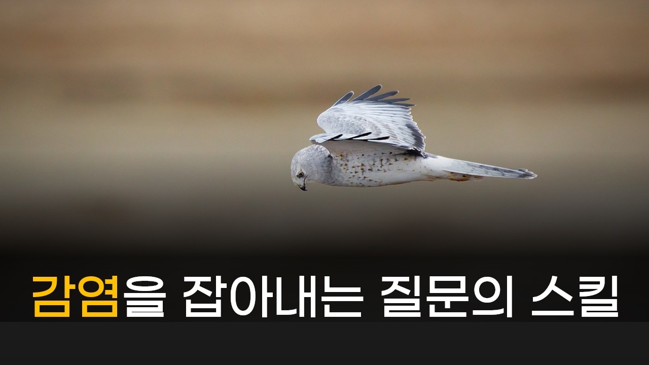 감염을 잡아내는 전략적인 질문법