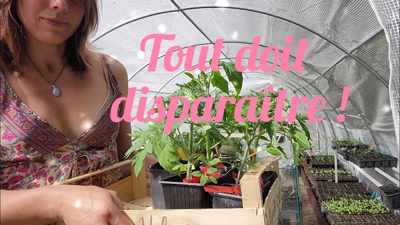 Semis 2025 , j'espère ne pas regretter 🤞😕