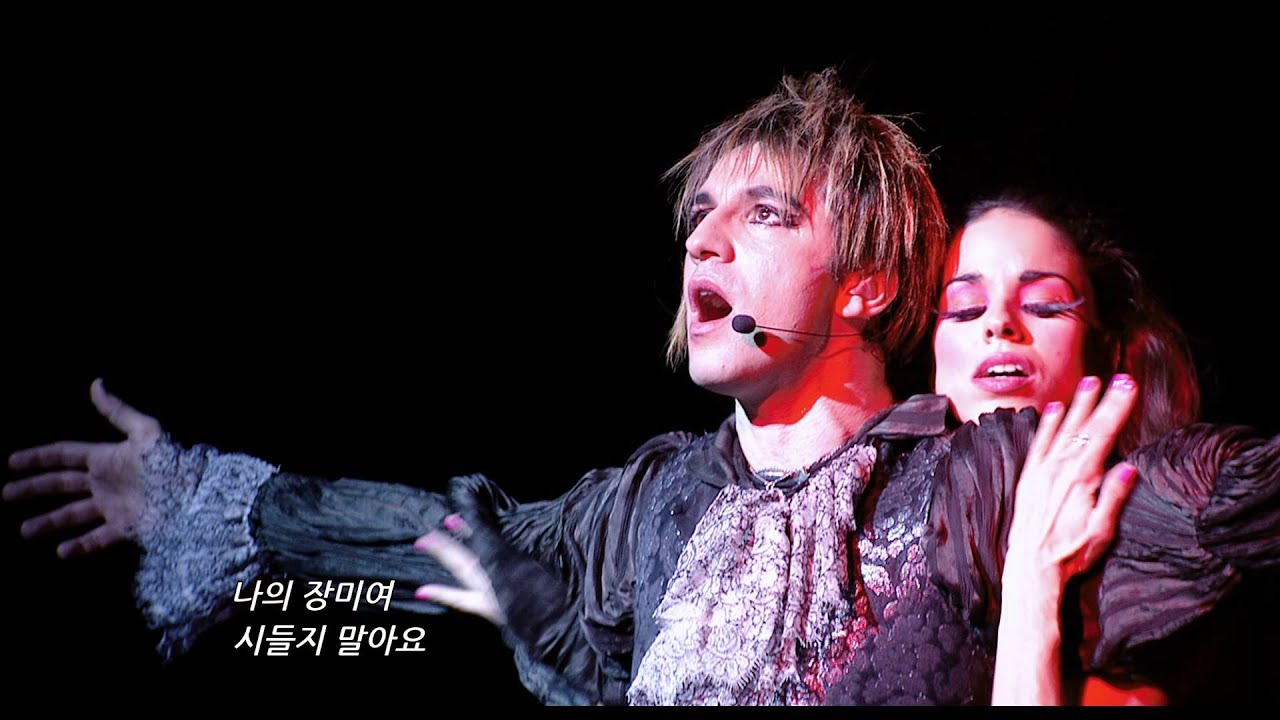 모짜르트 락 오페라(2011)
