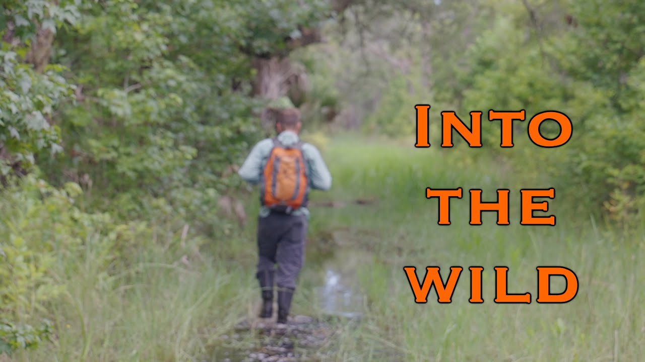 Tosohatchee Wildlife Management Area | An Interesting Trail Hike