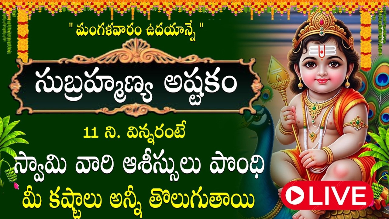 సుబ్రహ్మణ్య అష్టకం వినడం వల్ల సర్ప దోషం, కుజ దోషం వంటి కష్టాల నుండి విముక్తి లభిస్తుంది ||