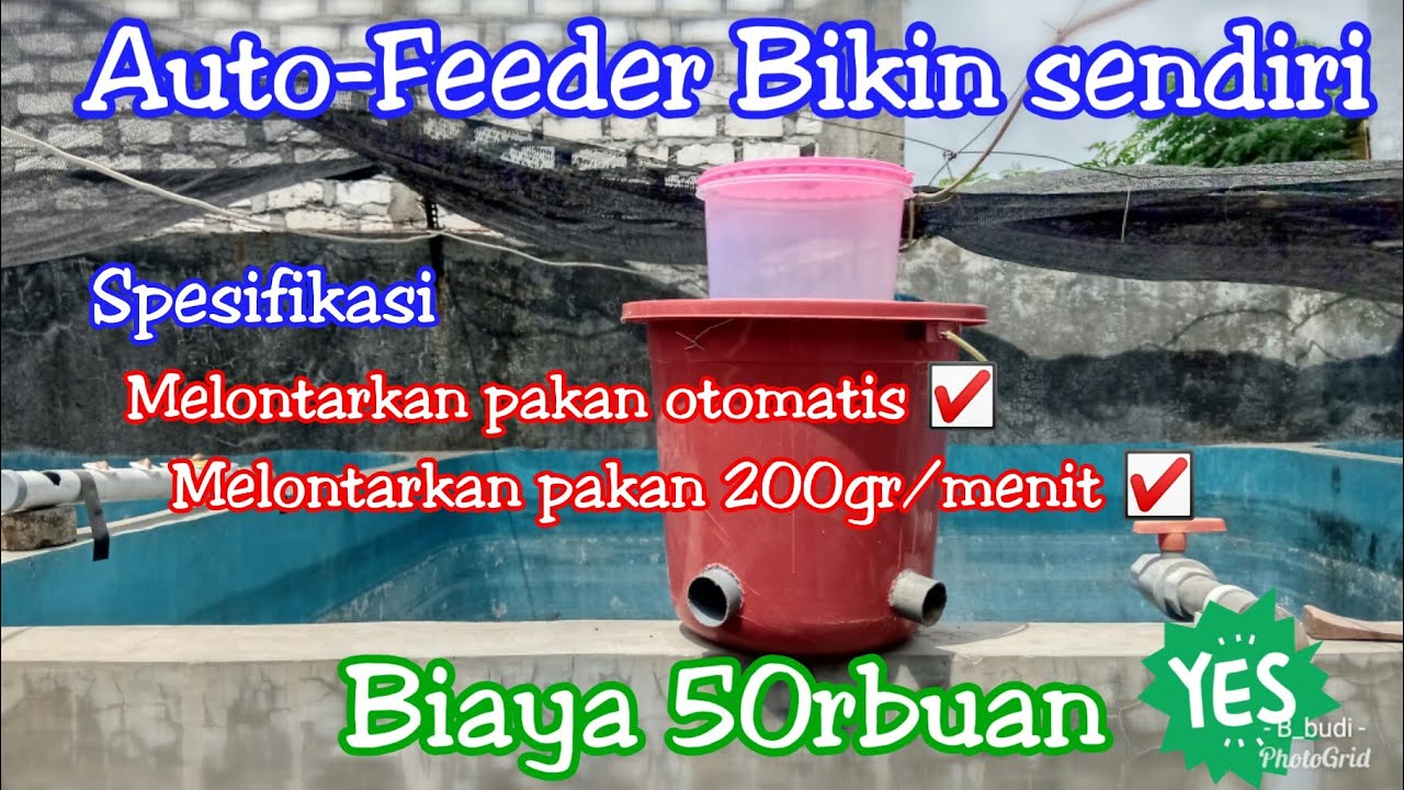 Auto Feeder Murah & Efisien bikinan sendiri l versi terbaru