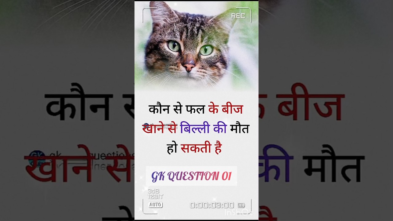 kon sa phal👮👨&zwj;💻👨&zwj;🏫...  #shortvideo #motivation #cat #knowledge #shorts