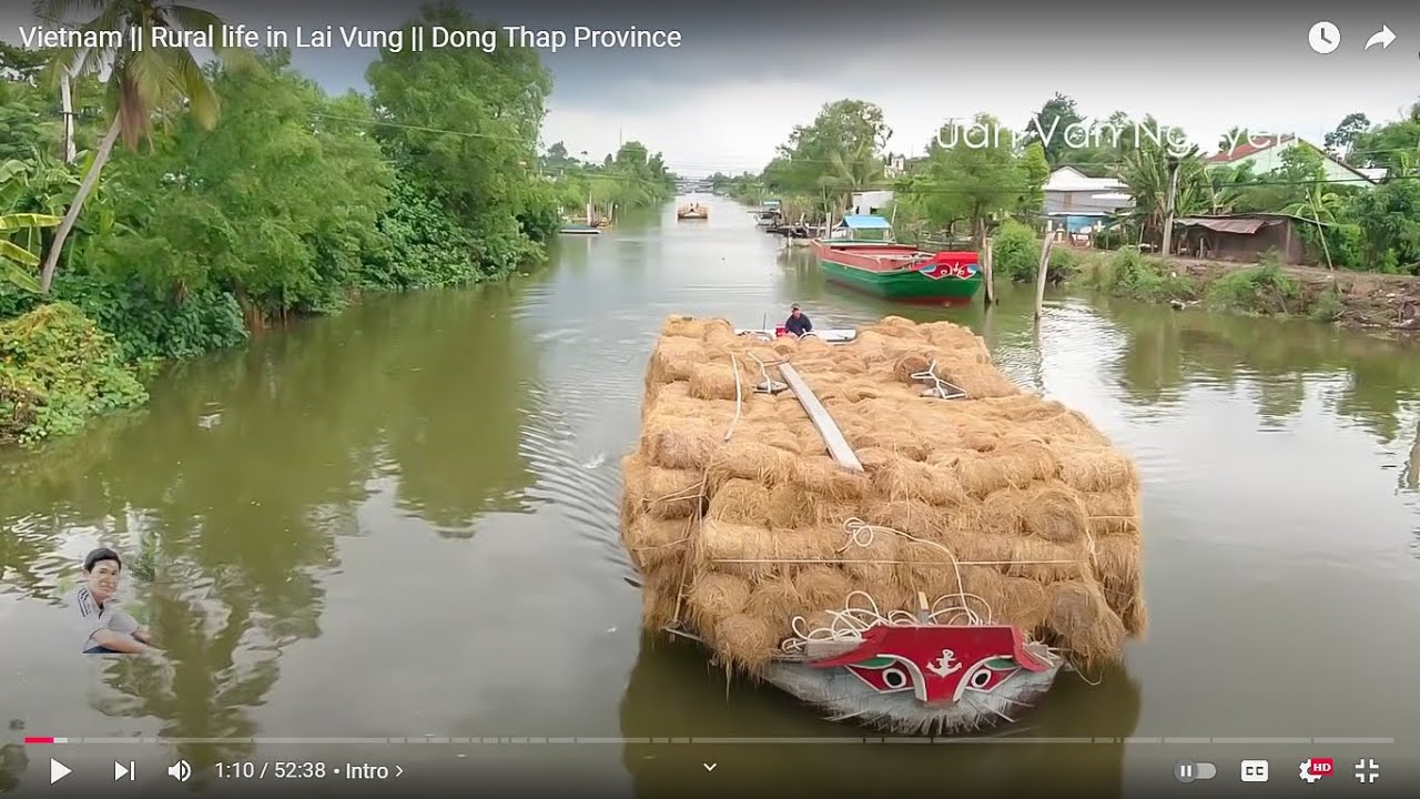 Vietnam || Rural life in Lai Vung || Dong Thap Province