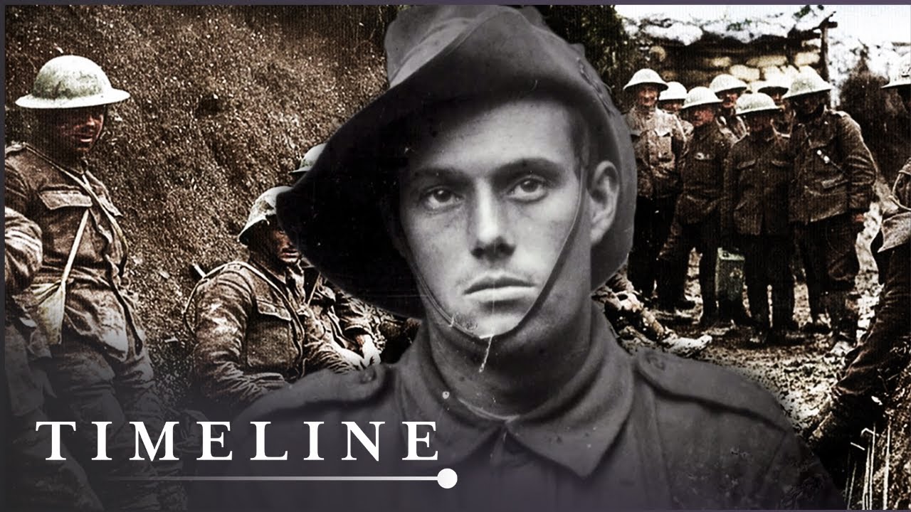 The Human Cost Of Artillery Warfare In World War One | The Memorial | Timeline