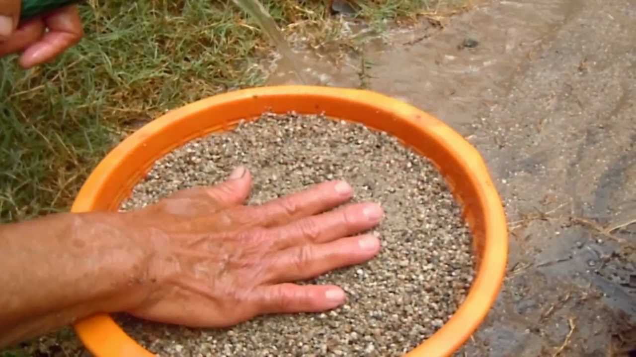 Como lavar la arena para las plantas