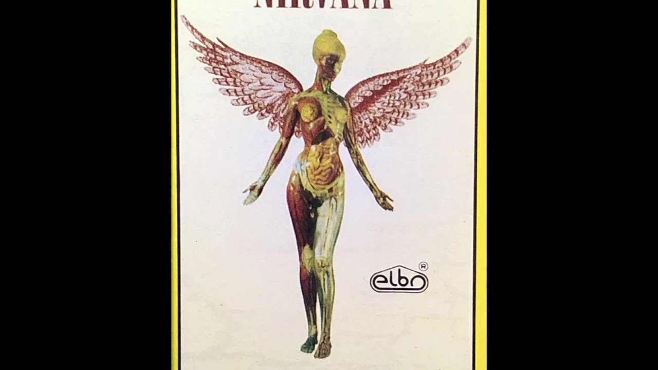 Nirvana - Gallons Of Rubbing Alcohol Flow* (Audio Cassette)