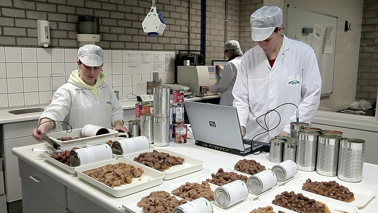 KS Chunks in gravy petfood production