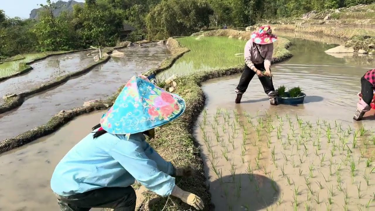 Phim quam tay,cuôn phay cắp nặm tà,nọng à cánh Pì paự (tập 6)