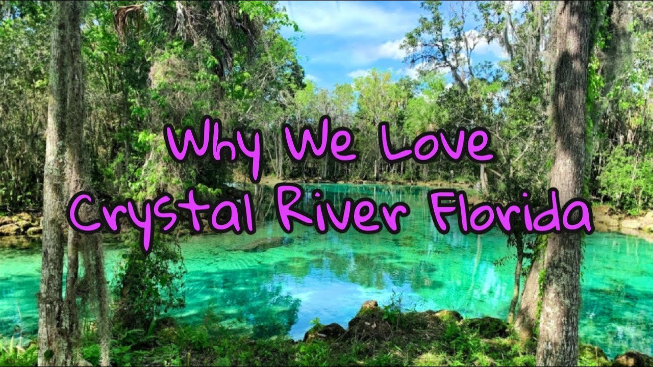 Why we Love Crystal River Florida