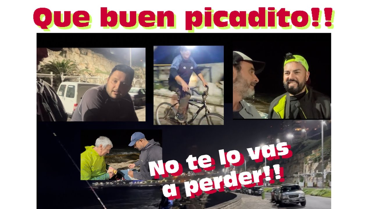 Pesca en el picadito de los viernes de Mar del Plata