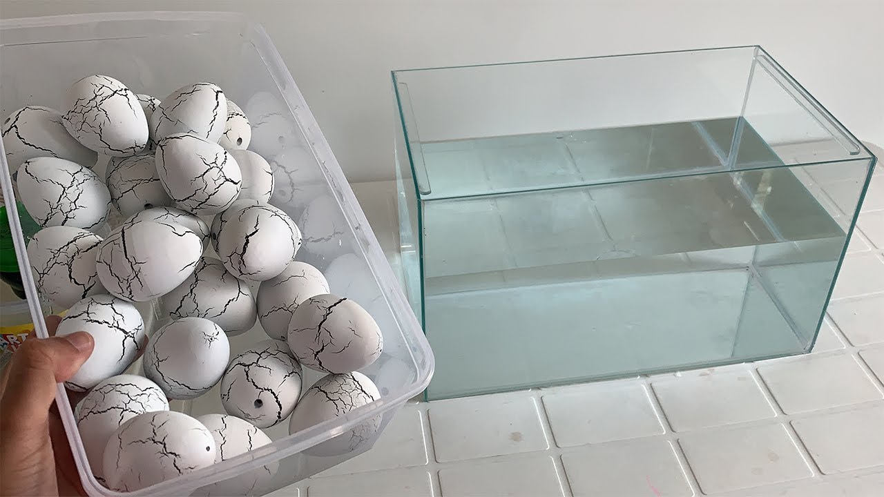 JOGUEI 24 OVOS DE DINOSSAUROS DENTRO DO AQUÁRIO GIGANTE E OLHA O QUE ACONTECEU!!