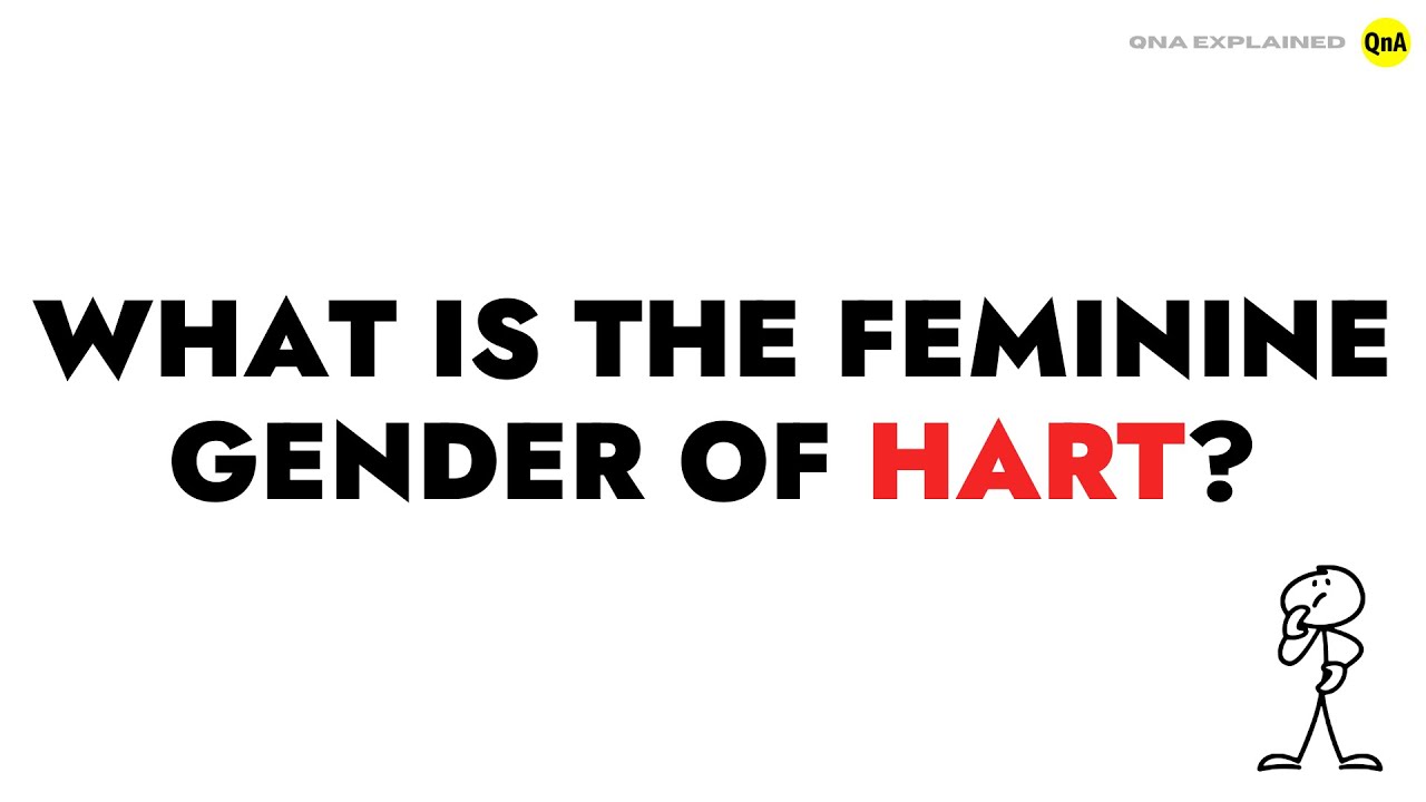 What is the feminine gender of HART ? || QnA Explained