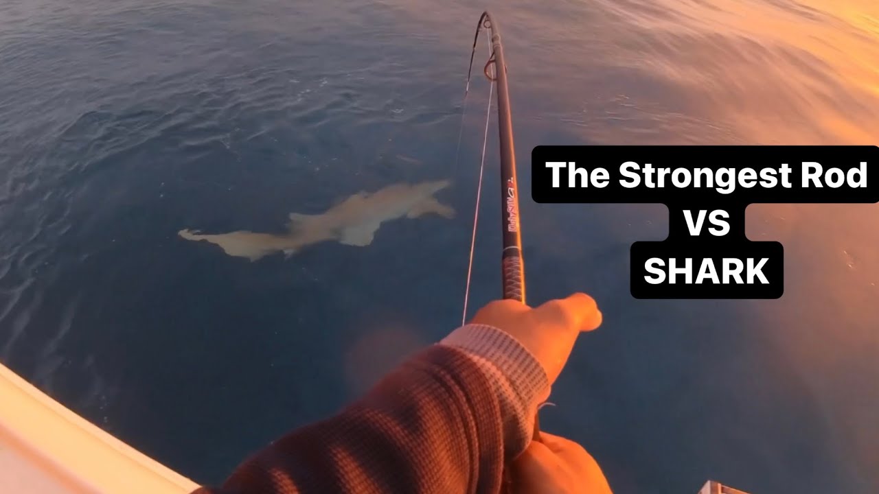 SHARK FISHING - BIG SHARK vs Ugly Stik GX2