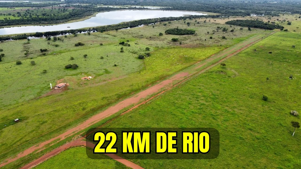 FAZENDA À VENDA – VALE DO ARAGUAIA - TOCANTINS - 101 divisões de pasto