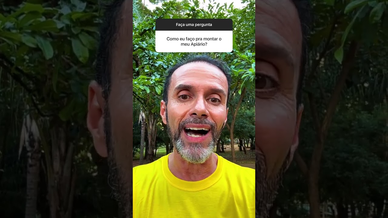 como montar apiário