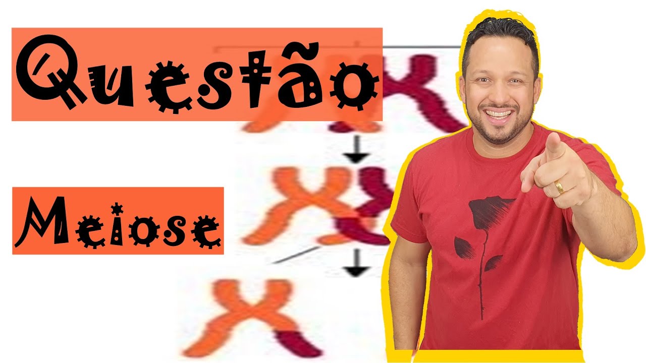 Meiose - Questão - Etapas da Meiose - Permutação ou Crossing-Over - Citologia