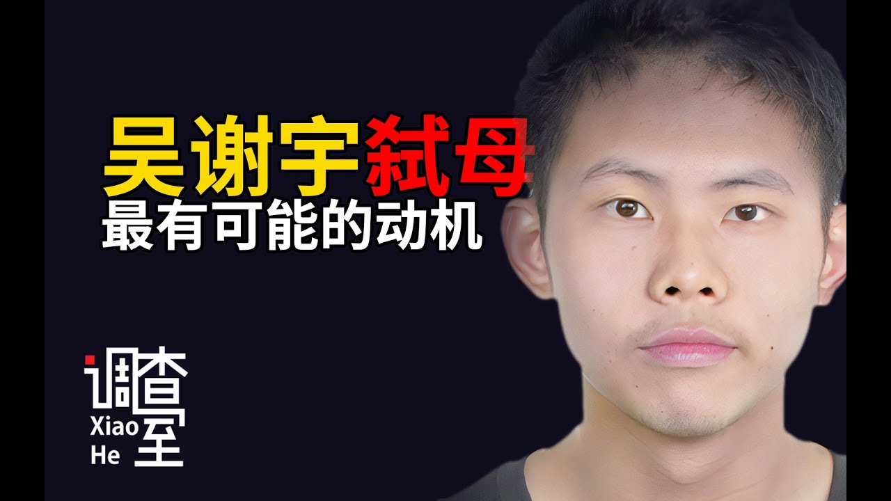 【小黑调查室】关于吴谢宇弑母的真正动机，可能你们都错了