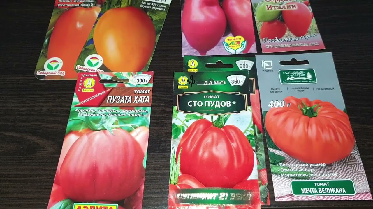 Фавориты- сорта томатов моей теплицы. Все: сахаристые, сочные, крупноплодные, высокоурожайные.