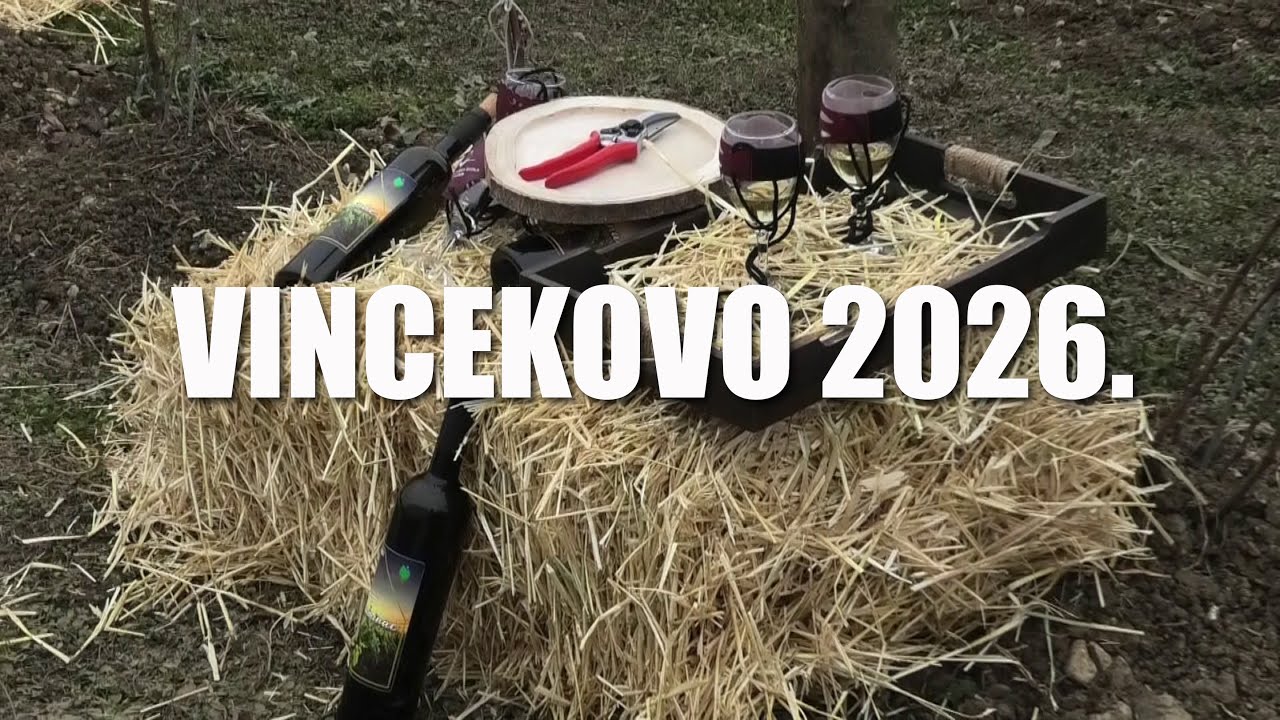 Vincekovo 2026. – Buđenje vinograda i vjera u dobru berbu 🍇🍷