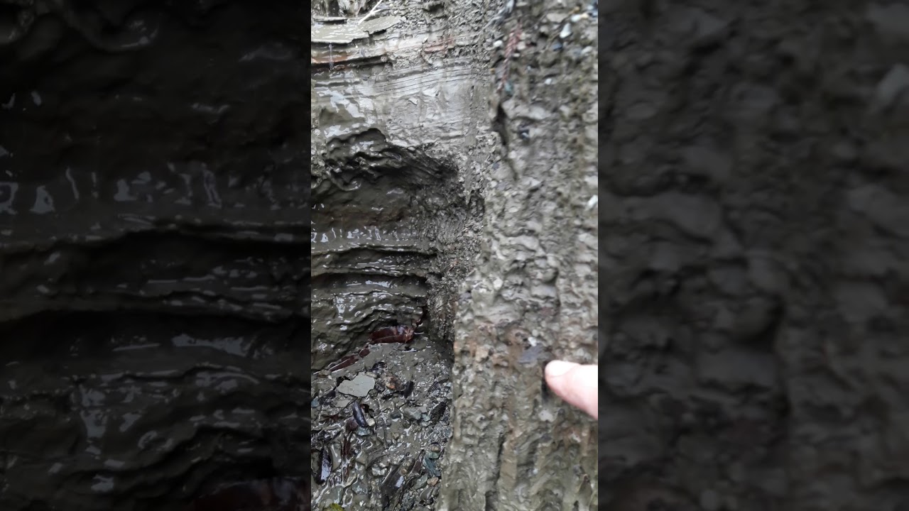 Unusually beautiful erosion in glacial gravels of Mt Hercules