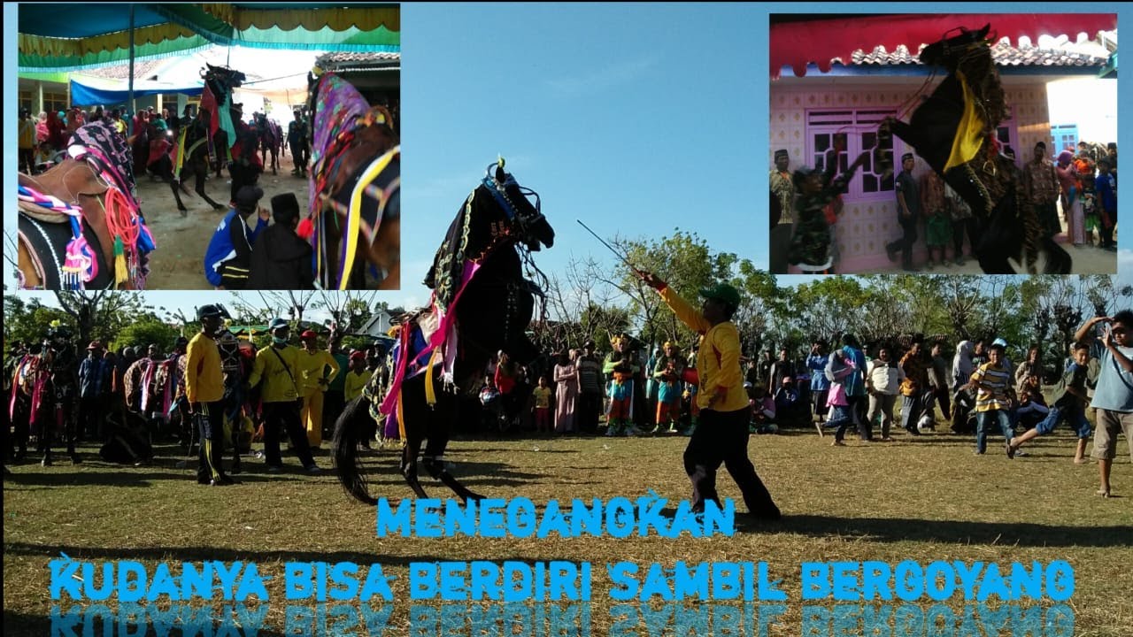 Viral! Budaya Penganten Kuda Sumenep Madura diiringi musik saronen