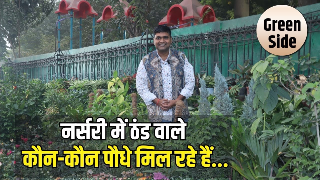 Patna Gandhi Maidan ।। Tripuram Nursery ।। ठंड में कौन-कौन पौधे मिल रहे हैं, दाम सहित देखिए
