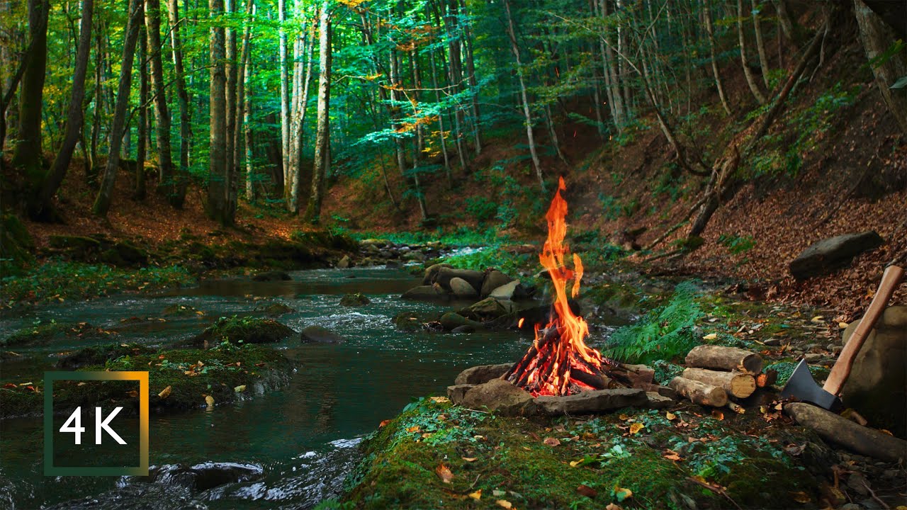 Real Campfire by the River 🔥 Deep Forest Ambience for Sleep & Relaxation (4K)