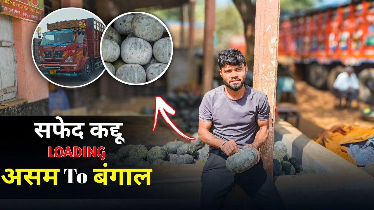 Assam Market Reality: सफेद कद्दू की लोडिंग और लंबा सफर! 🚛💨 | Charan K Vlogs |